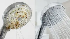 Wie entkalkt man einen Duschkopf? Diese hausgemachten Lösungen aus 2 Produkten bringen den Wasserdruck zurück