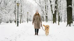 Richtiges Gassi gehen im Winter: Tipps für Hundebesitzer
