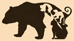 Mit diesem bildbasierten Test können Sie feststellen, welche Ihrer ausgeprägten Persönlichkeitsmerkmale für Sie charakteristisch sind und was Sie daran hindert, mit anderen zu interagieren.